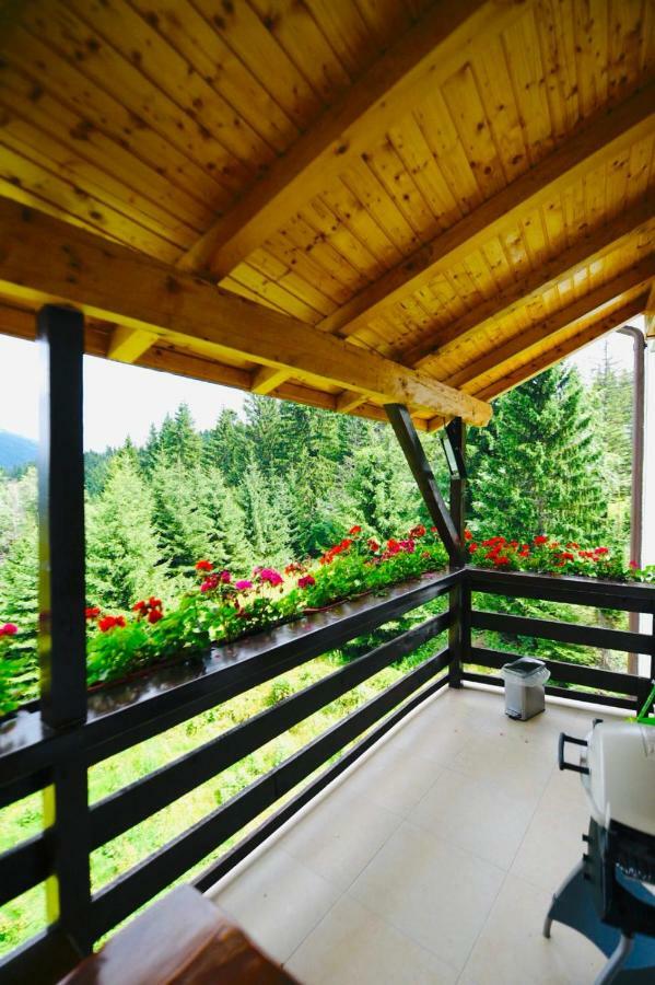 Nature House Predeal Ngoại thất bức ảnh